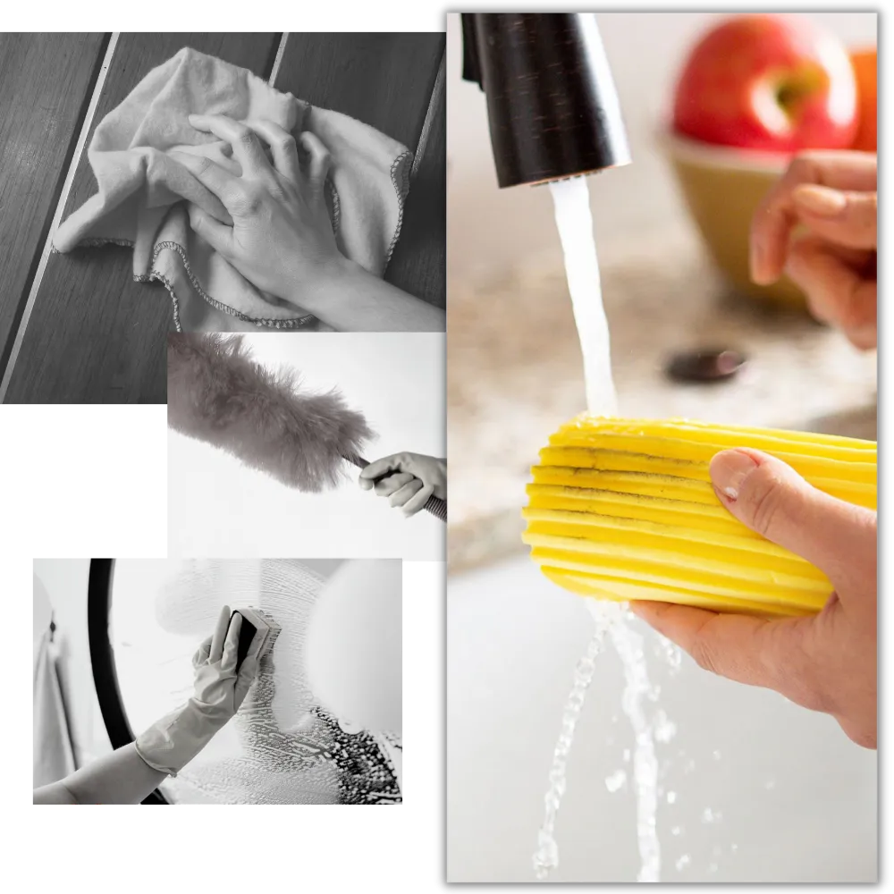 Multi-Functional Absorbent Sponge
