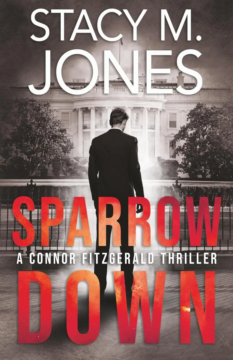 Sparrow Down (A Connor Fitzgerald Thriller) Paperback  May 23, 2025